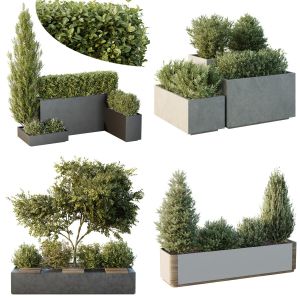 5 Different SETS of Outdoor Plant . SET VOL149