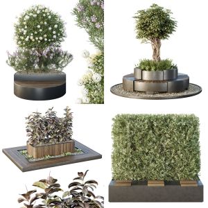 5 Different SETS of Outdoor Plant. SET VOL150