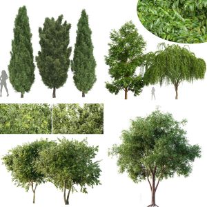 5 Different SETS of Plant Tree. SET VOL153
