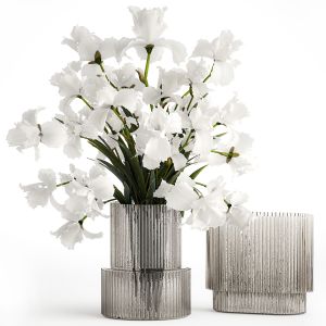 Realistic Bouquet Of White Iris Flowers In A Glass