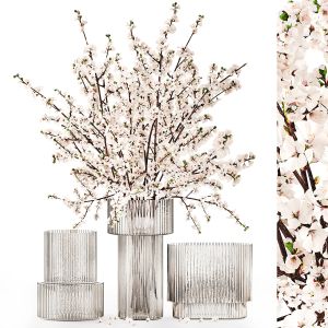 White Bouquet Of Sakura Cherry Blossom Branches