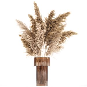 Bouquet Of Dried Flowers In A Vase With Cortaderia