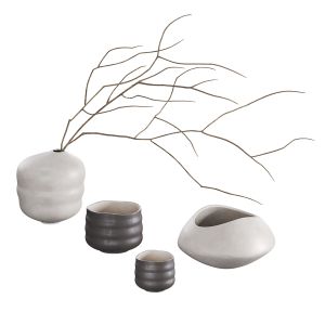 Vases Set With Branches