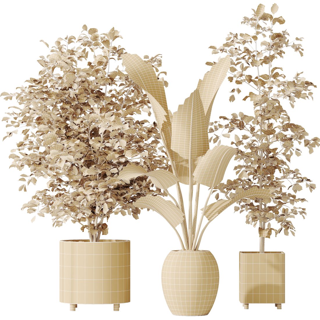 Av Indoor Plants Set 180 Alder And Strelitzia 3D Model for VRay, Corona |  CGMood