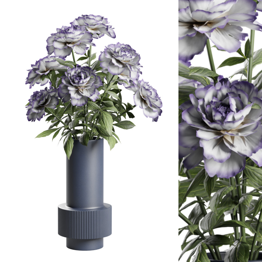 Peonia Flowers Vase by AllQuad