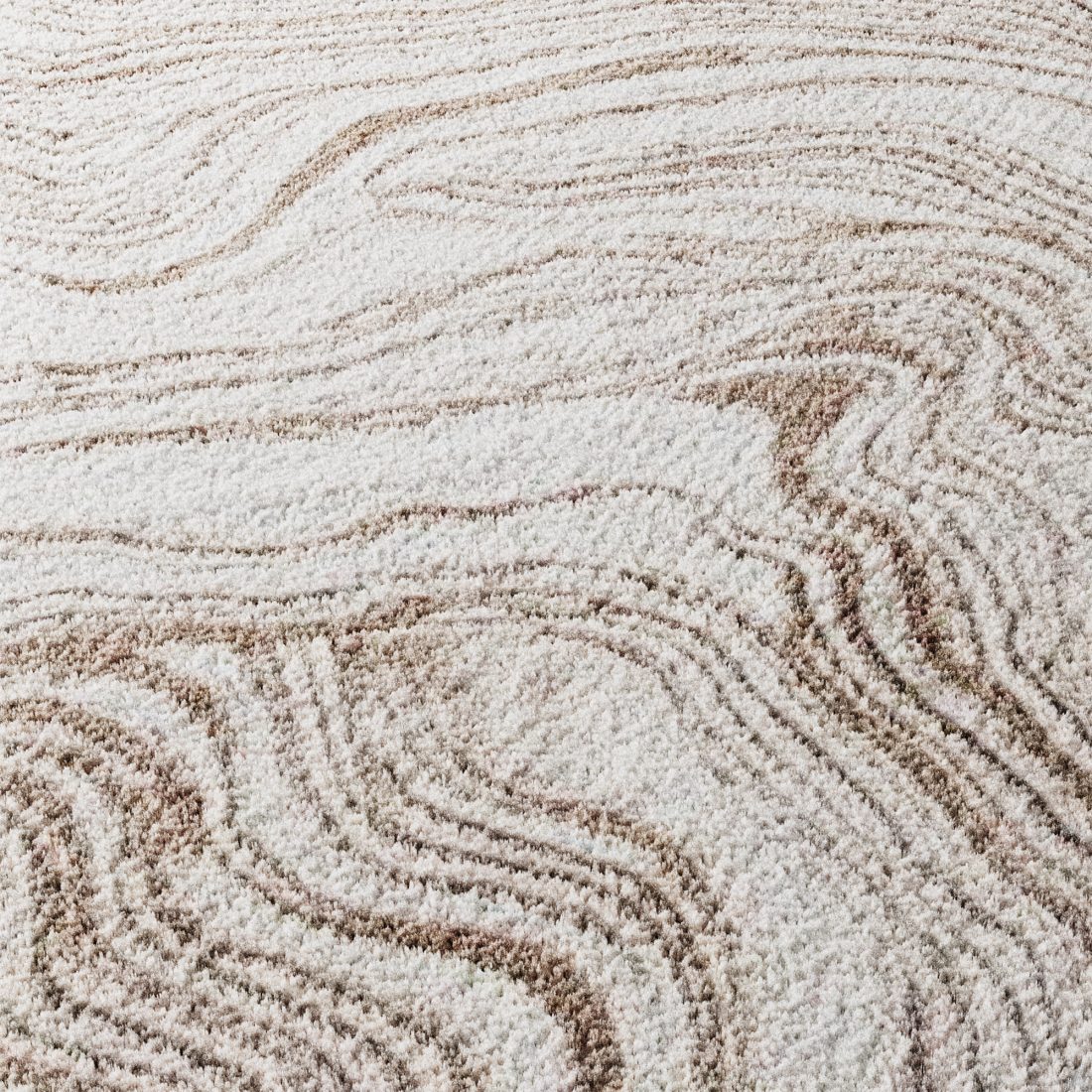 Meadow Indoor Area Rug 3D Model for VRay, Corona | CGMood