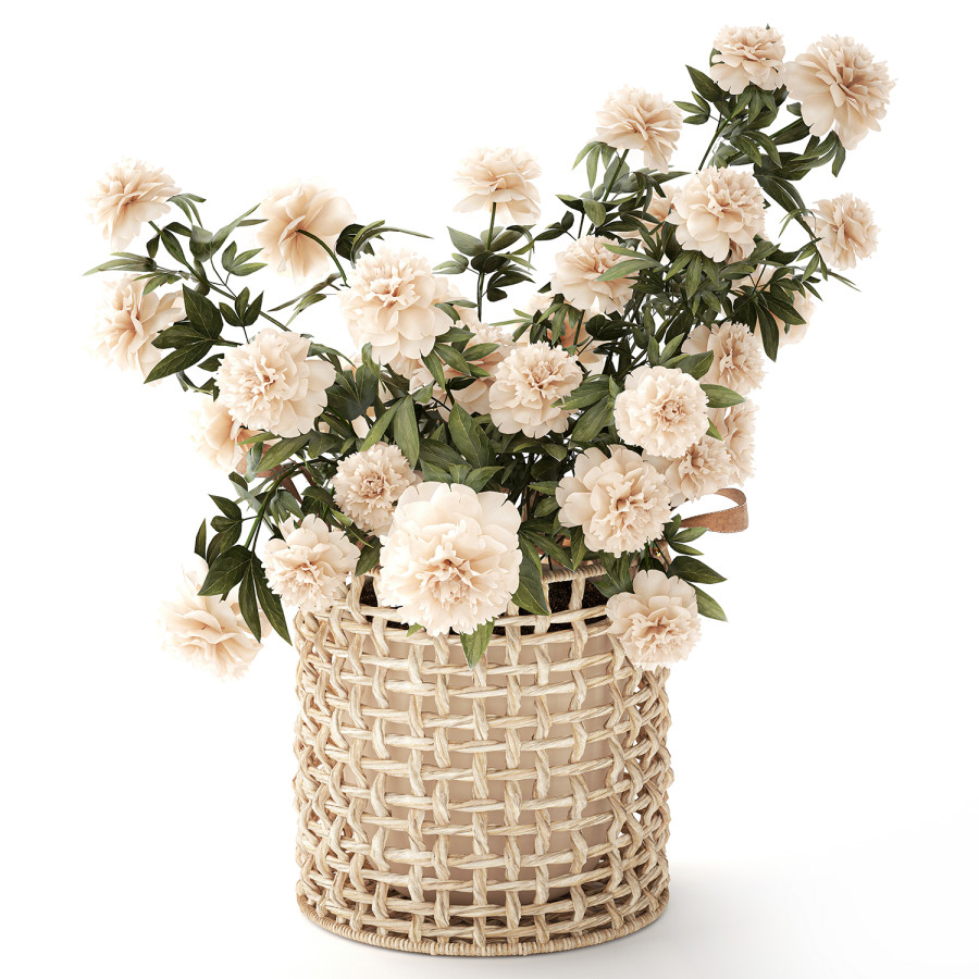 White Peony Flower Bushes Wicker Flower Basket 3D Model for VRay | CGMood