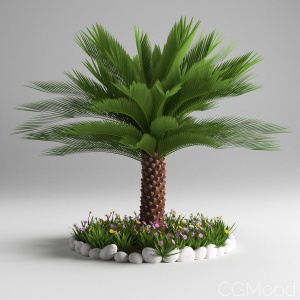 Palm Bush