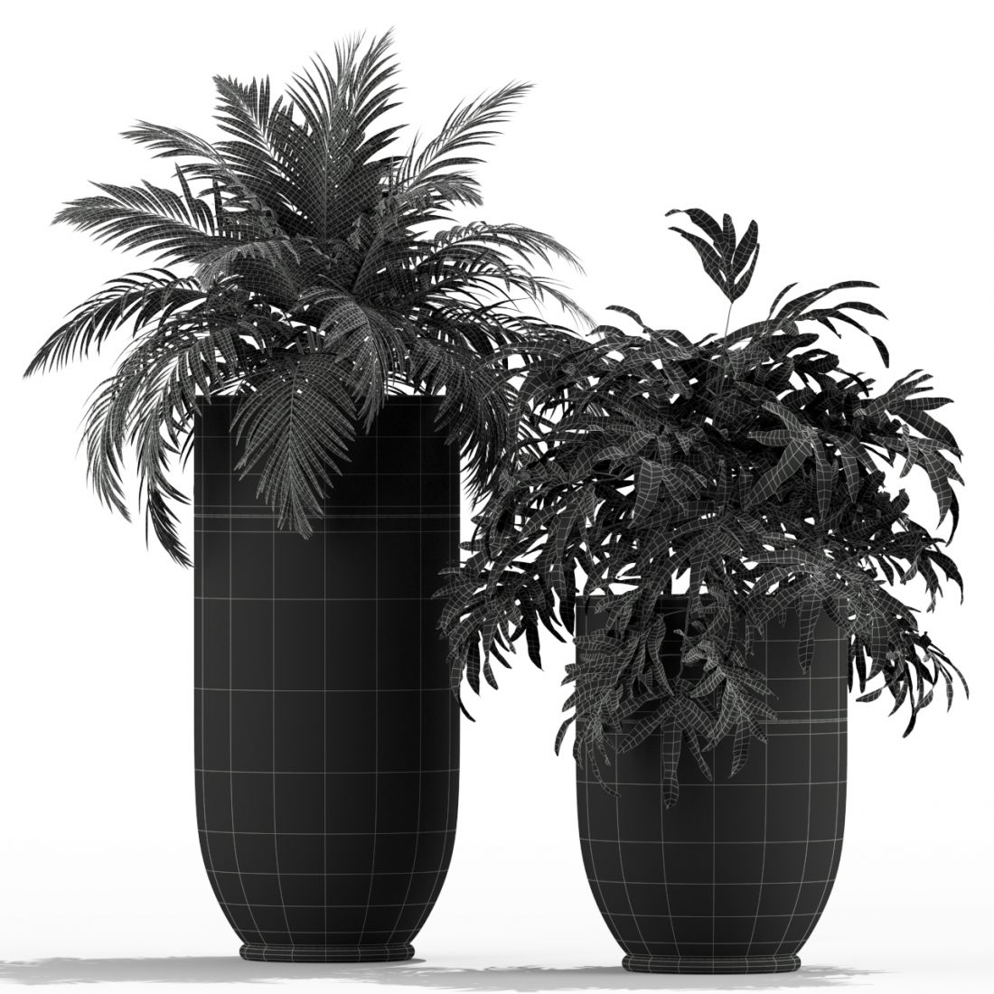 Plants Collection 233 Longhi Godwin - 3D Model for VRay, Corona