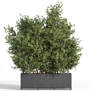Outdoor_plants_tree_in_metal_box_04