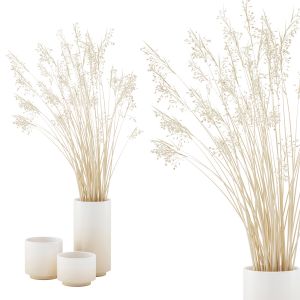 Vase Set With Dry Grass