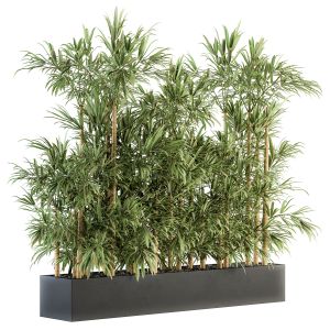 Outdoor Plants Set 144 - Bamboo In Plant Box