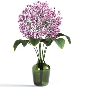 Indoor Bouquet Plant