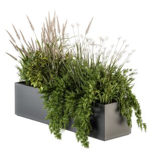 Indoor Plants Box - Set 152
