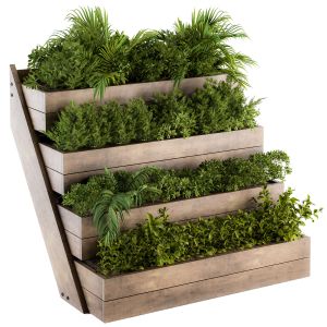 Outdoor Plants Wooden Plant Box - Set 153