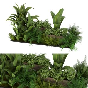 Collection Plant Vol 319 - Urban Environment