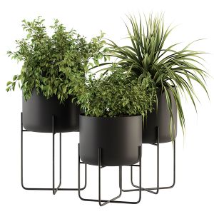 Black Box Plants On Stand - Set 151