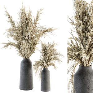 Dry Plants 66 - Pampas With Black Vase