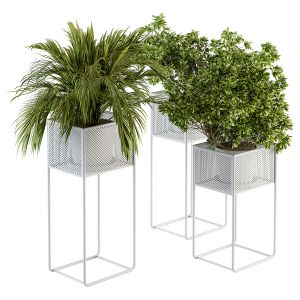 Indoor Plant Set 174 - Plant In Stand Box