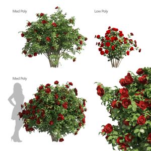 3 Red Rose Flower Bush Low Poly