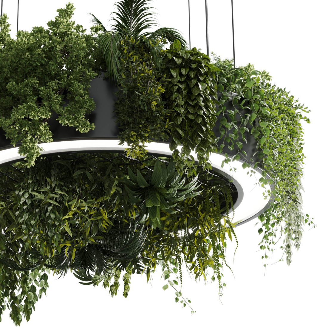 Circle Pot Light Pendant Plant Light Hanging 13 3D Model for Corona | CGMood