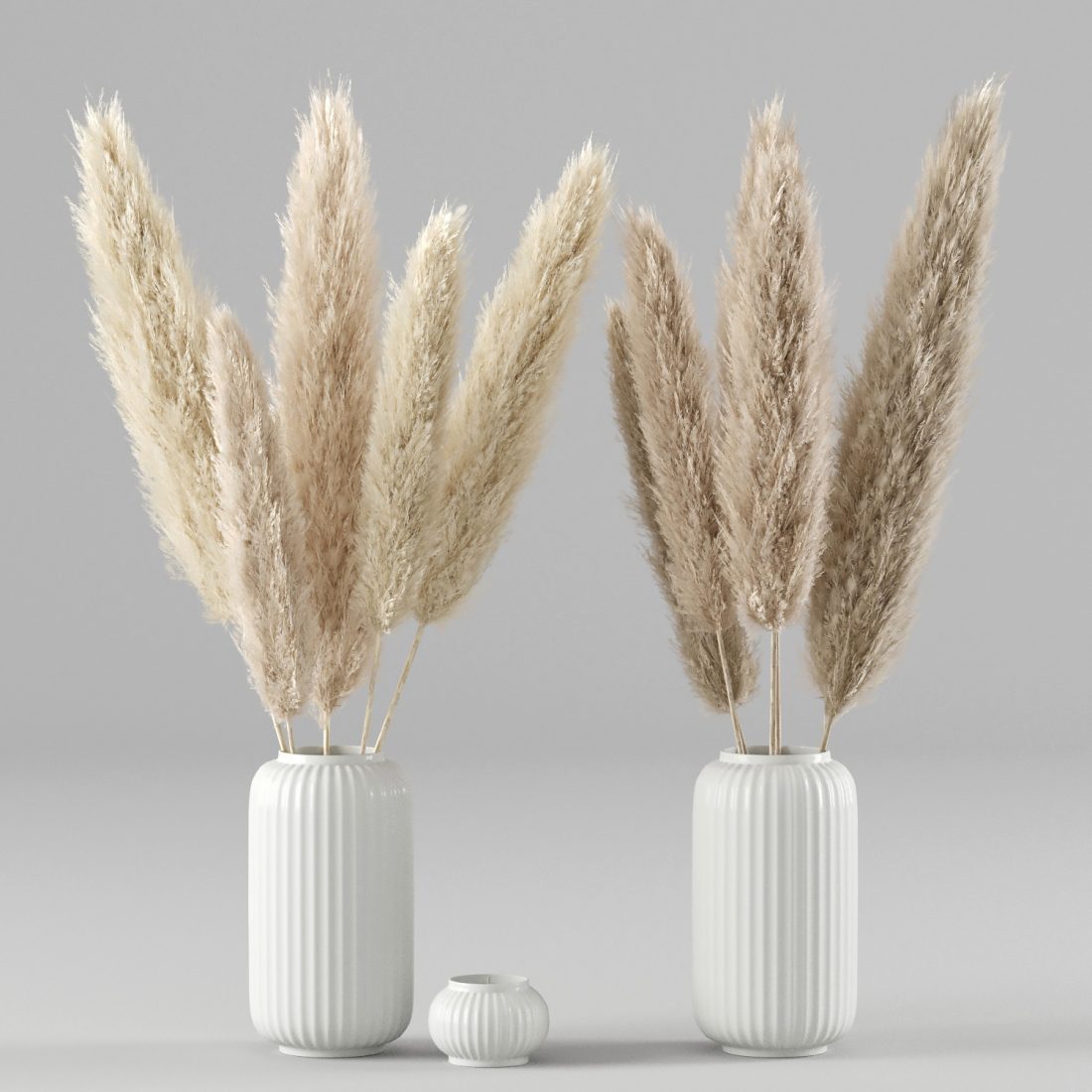 Pampas Grass - Cortaderia Selloana Set 01 - 3D Model for Corona, VRay