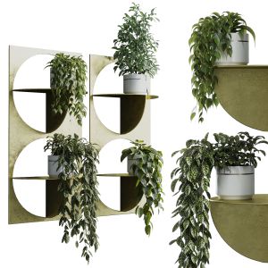 Wall Plant - Set Indoor Plant 365 Plants In On A S