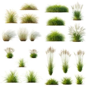 5 Different SETS of Plant Grass. SET VOL154