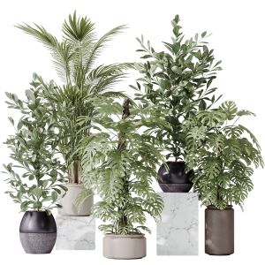 Indoor Plant Set 38