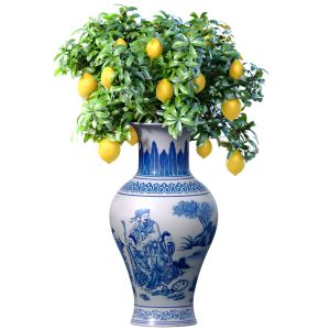 Lemon Tree In A Chinese Vase Pot Decorative Citrus