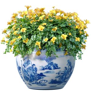 Bouquet Of Yellow Flowers In A Potted Vase
