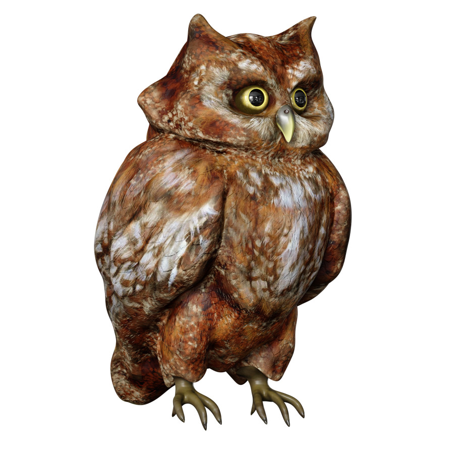 The Owl Bird by Yuriy Bogdanov