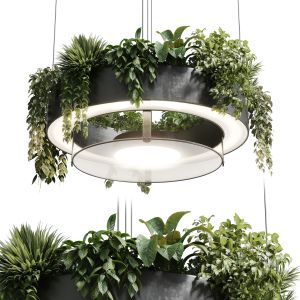 Circle Pot Light Pendant - Plant Light Hanging 21