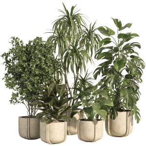 Indoor Plant Set 75-concrete Pot