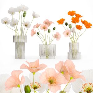 Bouquets Of Wildflowers With Poppy In A Glass Vase