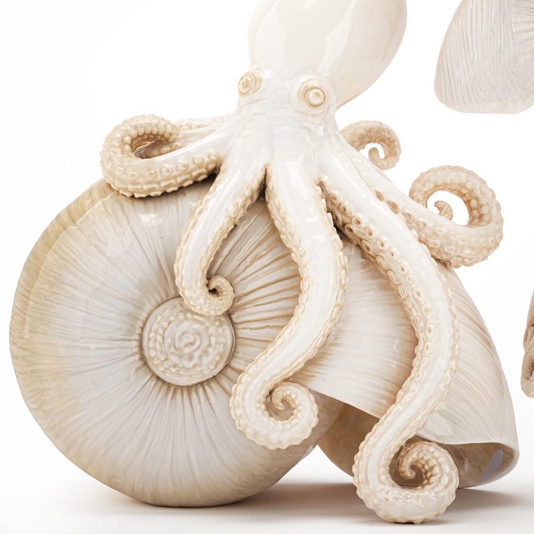 Shell Octupus Frame Decorative Figurine Octopus On A Nautilus Shell 3D Model for VRay | CGMood