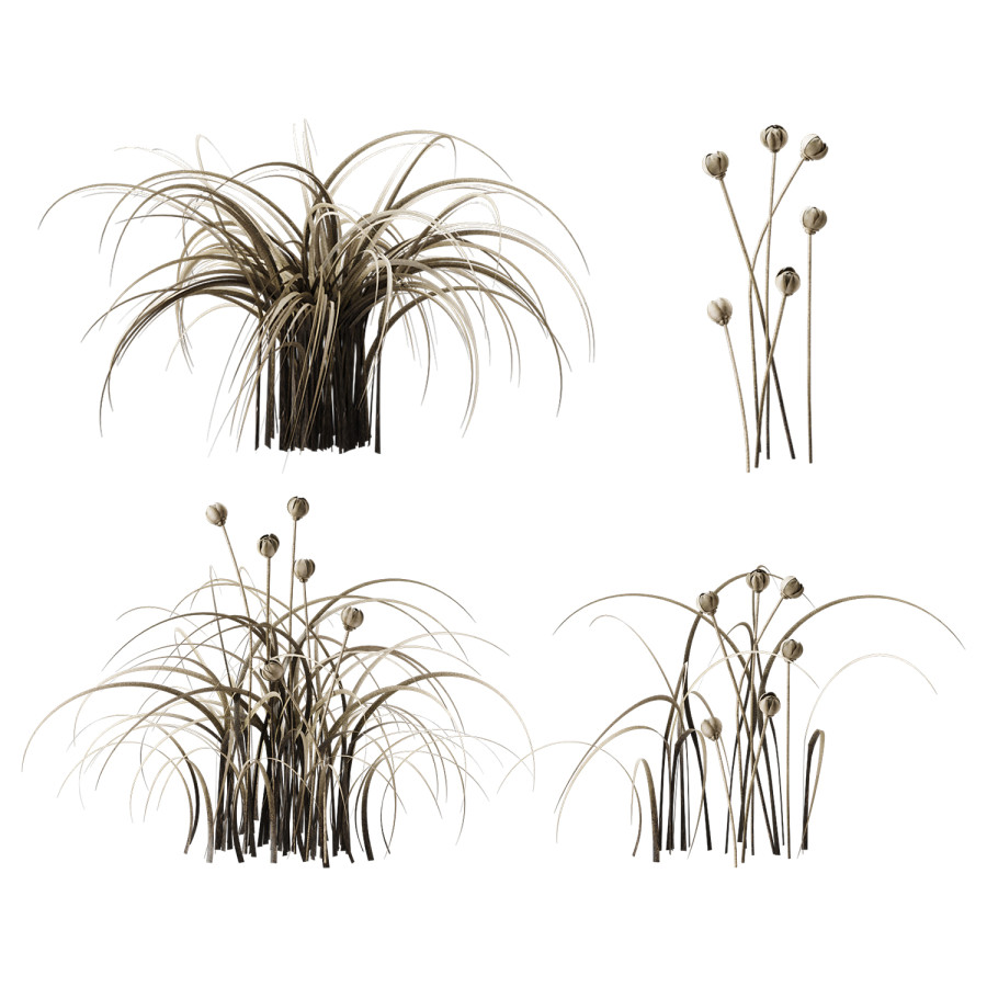 Dry Grass / Autumn Meadow Set 3D Model for VRay, Corona | CGMood