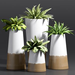 Decorative Plant Set - 09