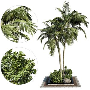 Garden Palm Set 02