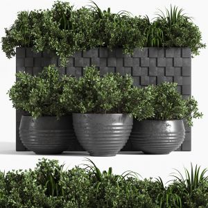 Outdoor plant collection box