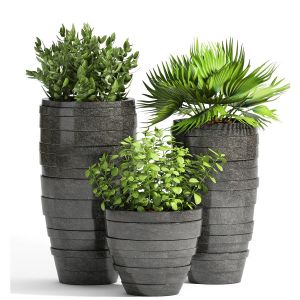 Decorative Plant Set-12