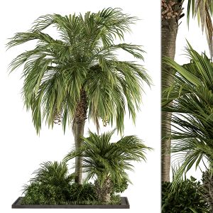 Garden Set Palm Tree And Bush - Garden Set 14