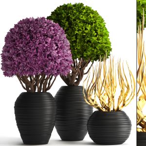 Boxwood, Topiary, Topiary, Decorative Vases