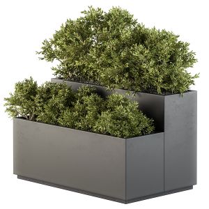 Outdoor Plant Set 219 - Plant Box
