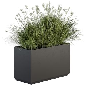 Outdoor Plant Set 218 - Indian Grass In Plant Box