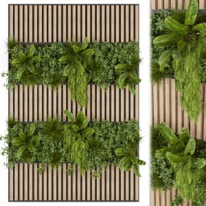 Collection Plant Vol 326 - Fitowall - Leaf