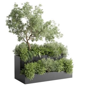 Stand Plant Box - Collection Indoor Plant 207