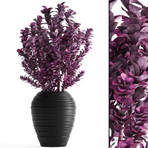Berberis plant, Bush, Pot, Luxury Decor, Flowerpot