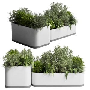 Stand Plant Box - Collection Indoor Plant 212