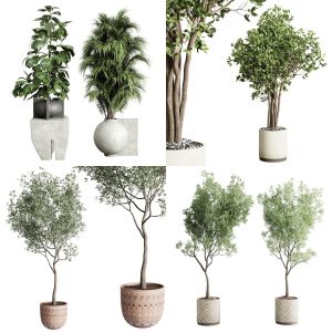indoor plant collection vol 02